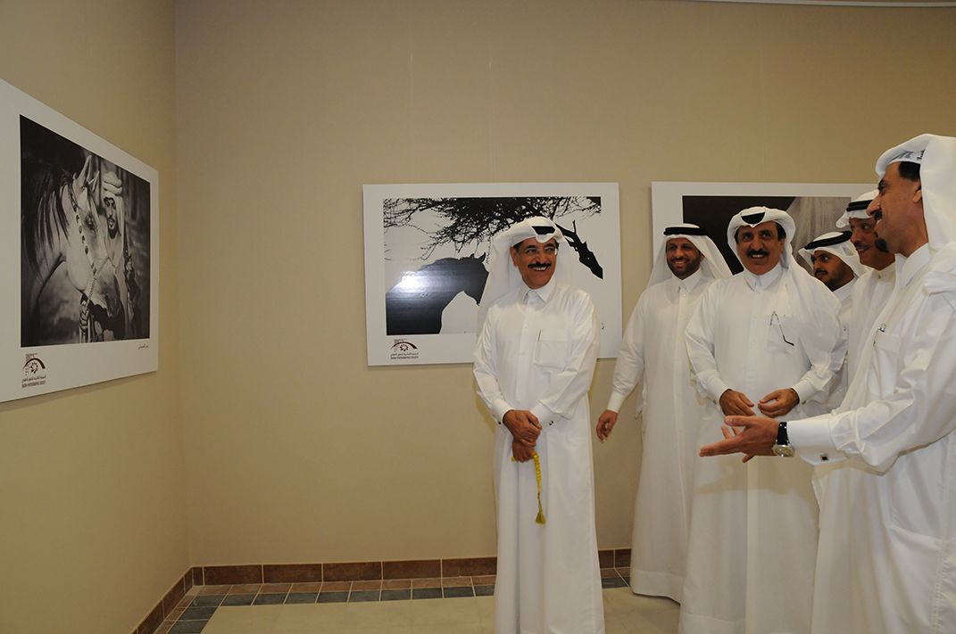 معرض الخيول التصوير الضوئي